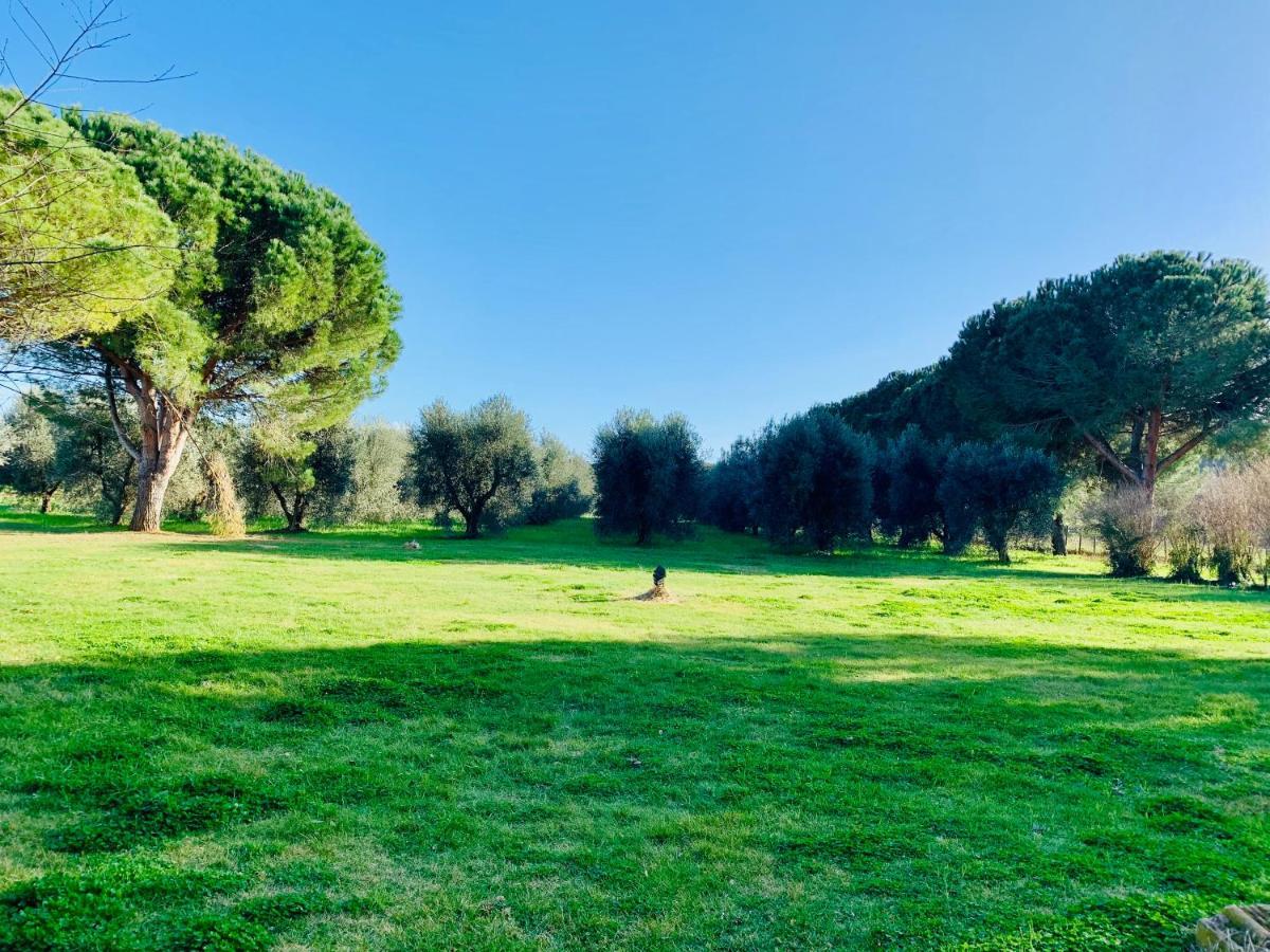 Il Borghetto Di Ansedonia Apartamento Exterior foto