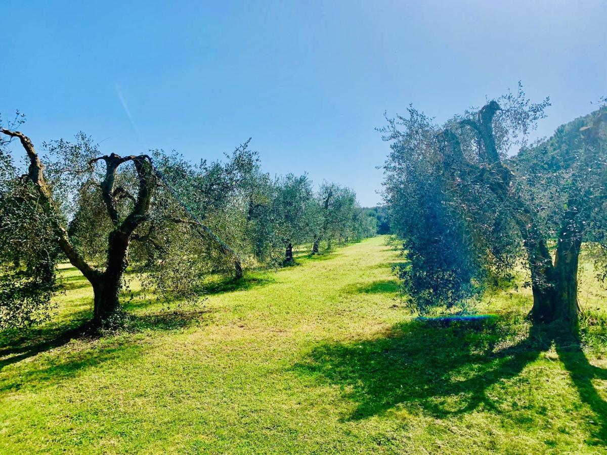 Il Borghetto Di Ansedonia Apartamento Exterior foto
