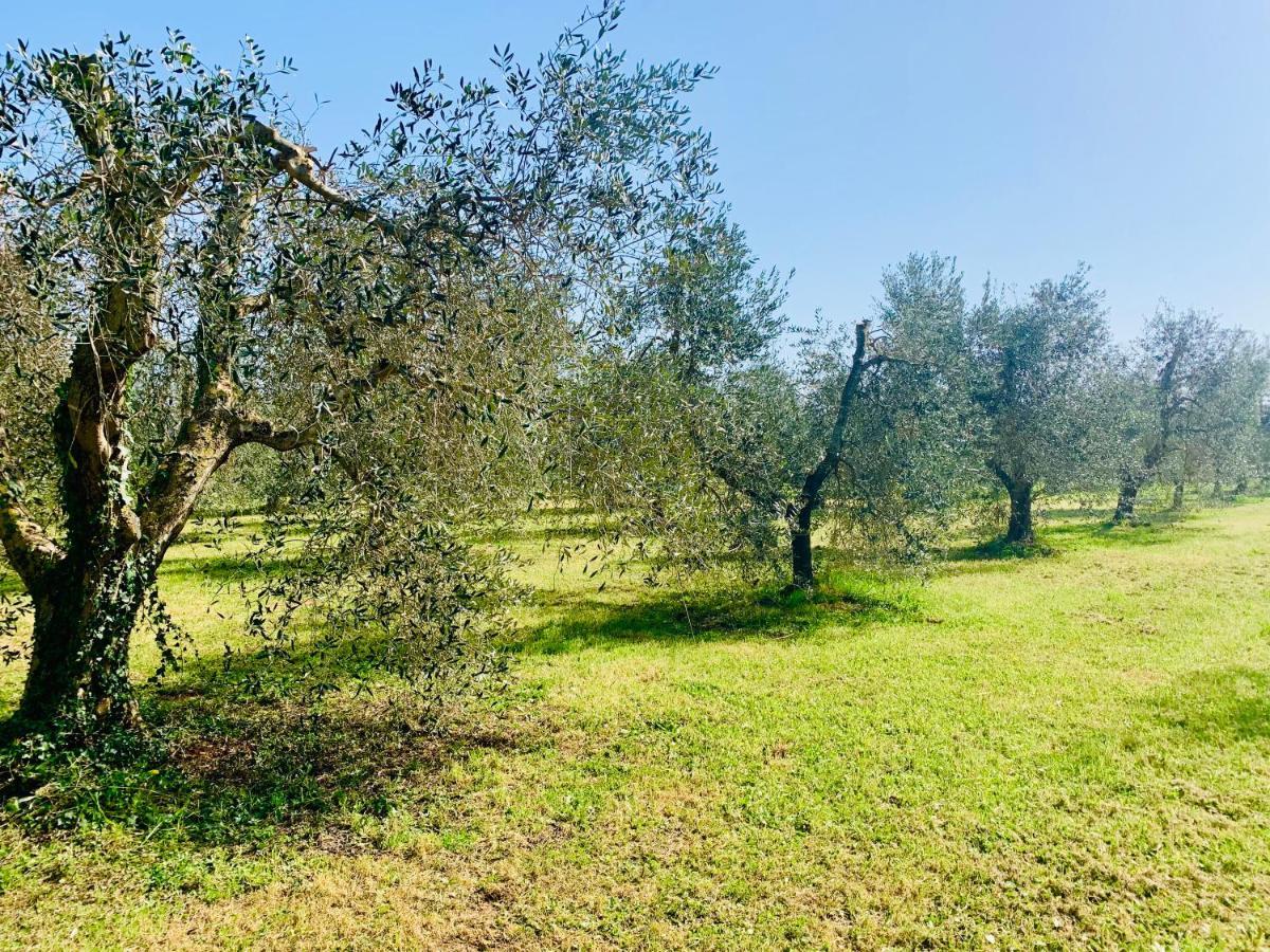 Il Borghetto Di Ansedonia Apartamento Exterior foto