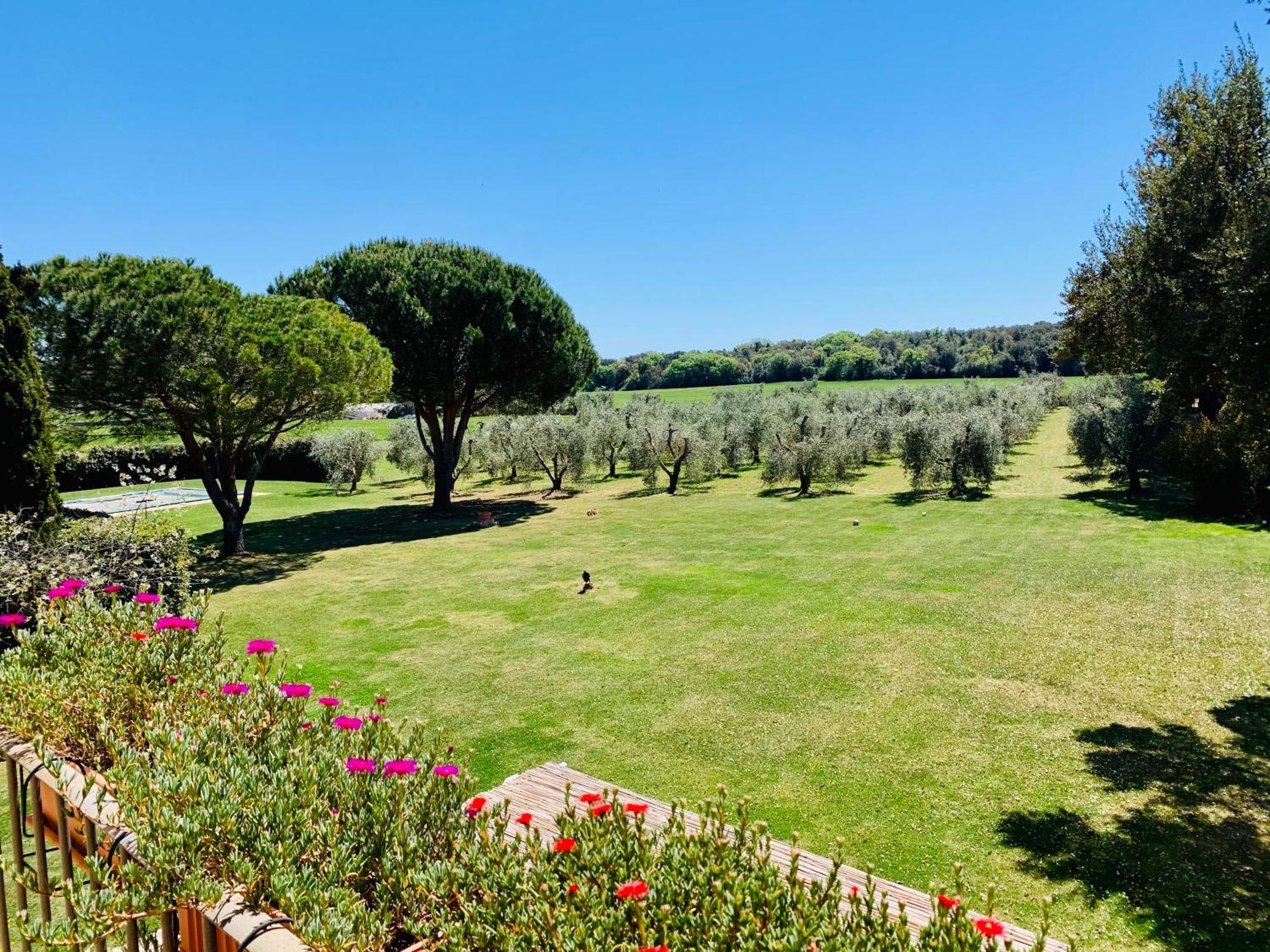 Il Borghetto Di Ansedonia Apartamento Exterior foto