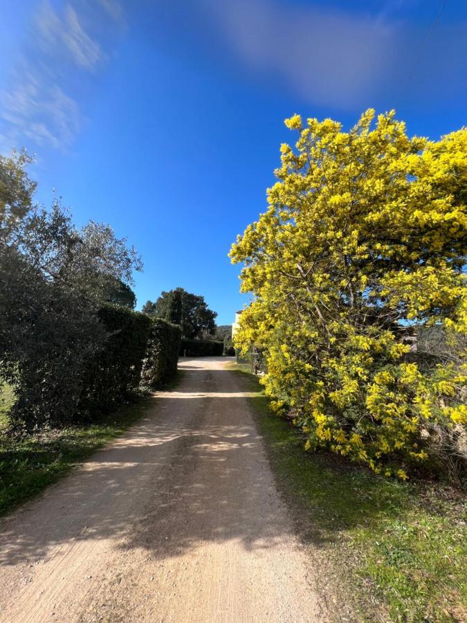 Il Borghetto Di Ansedonia Apartamento Exterior foto