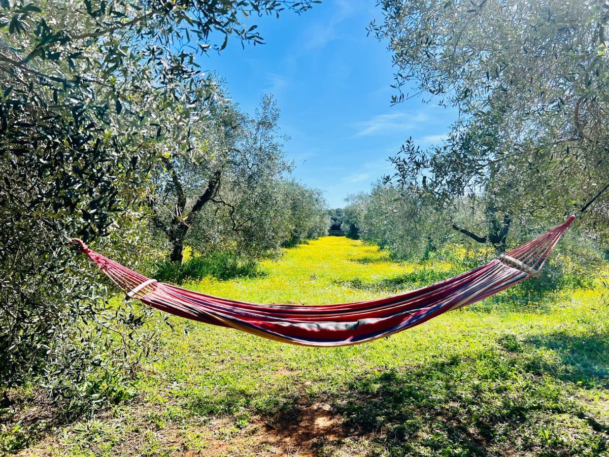 Il Borghetto Di Ansedonia Apartamento Exterior foto